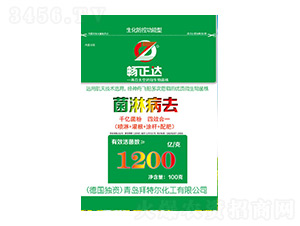 ���ܲ�ȥ-���ؠ�