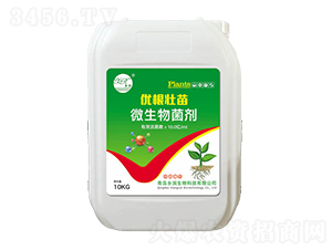 10kg΢�������-��������-�l������