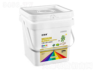 �ЙC̼�}�V-�f����-�F���r�I