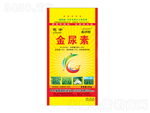 ������-�����r(n��ng)�I(y��)