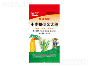 С�����������-�����r(n��ng)�I(y��)