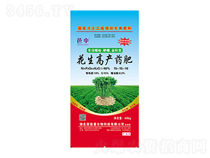 �����߮aˎ��15-15-10-�����r�I