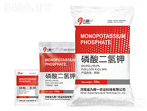 ��������-�ż�һ