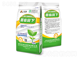 微生物菌劑-菌臨田下-金沂蒙