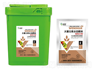 ������ķ13Ԫ�ؠI�B���w��-�ֿ��A