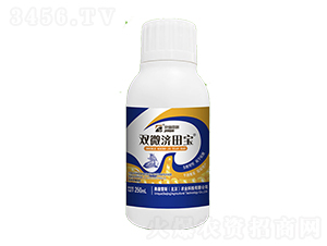 �����������-�p΢���-�W����˹