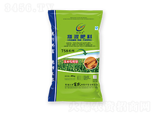 ���������׌����͓������-���r