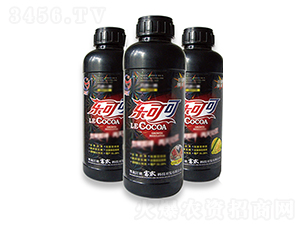 ���ɿ�-���r