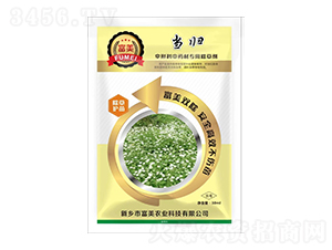 ���w���ο���ˎ�ĳ��݄�-���� 