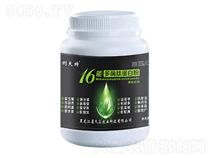 16�ܶ�ø�ĵ��׷�-�����r�I