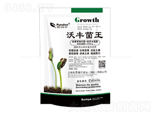 500g���S����-�՝�(r��n)�S