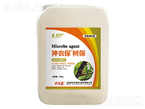 ���r�����䱣-��܇