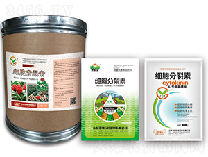 ����������-��܇ 