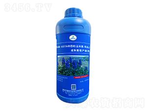 SM-037A��ˎ����ľ����^���������a(ch��n)�Ƅ���1000ml��-�ΰ�������