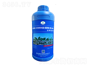SM-038���������L�����Ƅ���1000ml��-�ΰ�������