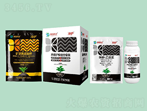 �B(y��ng)���o���M�����b-�_�o-����(chu��ng)���d