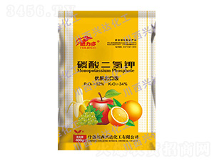 ���ڼ���������-������-�����d�_(d��)����