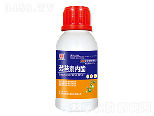 �|̦�؃���-�����S