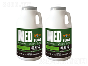 ��������(d��o)��-Ӣ����