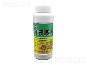 500ml���_���-���_