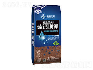 ���}�V������{�턩���A�Է���-������ؐ-�����r��