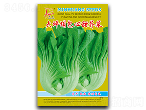 ��ƺ����������-��˷N��-�}�ʷN�I