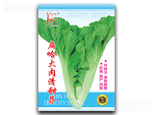 ����������-��˷N��-�}�ʷN�I