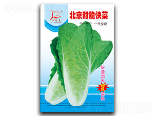 ���������-��˷N��-�}�ʷN�I