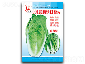 001�����̦-��̦�N��-�}�ʷN�I