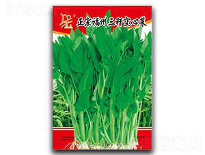 ���ڸ����������Ĳ�-���Ĳ˷N��-�}�ʷN�I