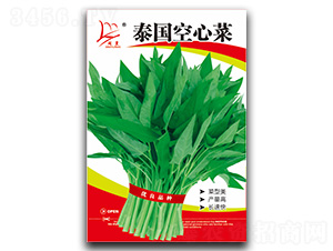 ̩�����Ĳ�-���Ĳ˷N��-�}�ʷN�I