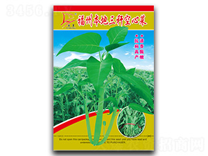 ���ݱ����������Ĳ�-���Ĳ˷N��-�}�ʷN�I