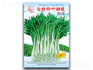 �׹����~�����Ĳ�-���Ĳ˷N��-�}�ʷN�I