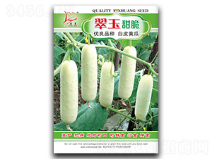 �������-�S�ϷN��-�}�ʷN�I