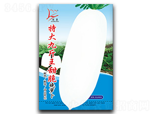 �ش�Ž���������}��-�}���N��-�}�ʷN�I