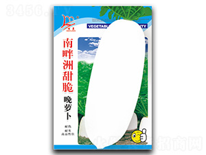 ������-�}���N��-�}�ʷN�I