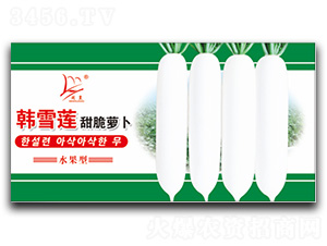 �nѩɏ����}��-�}���N��-�}�ʷN�I