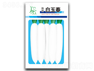 �n������-�}���N��-�}�ʷN�I