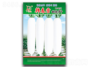 �n��ѩ����}��-�}���N��-�}�ʷN�I