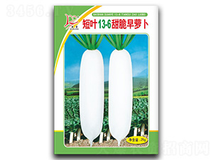 ���~13-6������}��-�}���N��-�}�ʷN�I