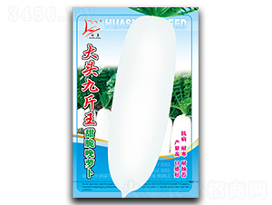 ���^�Ž���-�}���N��-�}�ʷN�I