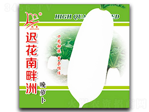 �t�����������}��-�}���N��-�}�ʷN�I