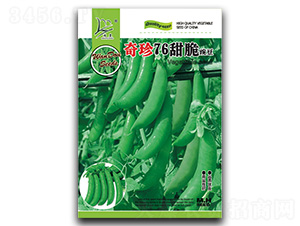 奇珍76-豌豆種子-閩皇種業