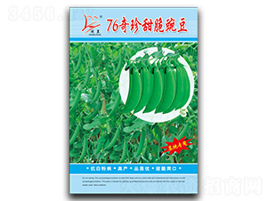 76奇珍甜脆豌豆-豌豆種子-閩皇種業