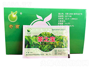 ��֮��-����-����