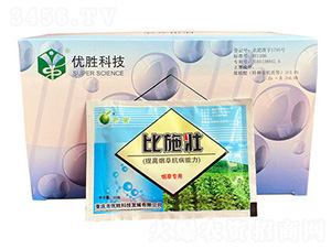 ���݌����������Ƅ�-��ʩ��-����