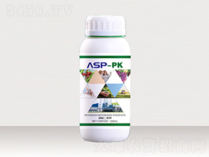 �۹Ȱ���-��ؐ��