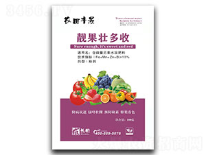 �n���Ѷ���-�r���S��-��ʩ��