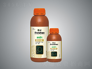 ����1̖-�����r�I