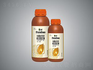 ����ľ��-�����r�I